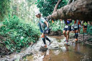 BIB: 
                            <button type="button" onclick="openModal(25372663)" class="btn btn-primary btn-sm float-right btn-popup" data-toggle="modal" data-target=".modal-high-quality">
                        <i class="fas fa-shopping-cart"></i> Add to Cart
                    </button>
                                            <button type="button" onclick="isThisMe(25372663, true)" class="btn btn-success btn-sm float-right btn-popup btn-isme hidden" data-toggle="tooltip" data-placement="bottom" title="นี่คือรูปของคุณใช่ไหม คลิกที่นี่เพื่อเอาเข้าอัลบั้ม">
                        <i class="fas fa-plus"></i> Add to album
                    </button>
                    <button type="button" onclick="isThisMe(25372663, false)" class="btn btn-warning btn-sm float-right btn-popup btn-isnotme hidden">
                        <i class="fas fa-ban"></i> Remove from album
                    </button>